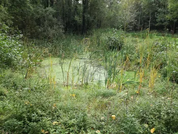 Galgebossen (Poperinge, Elverdinge, Vlamertinge) (Belgie)